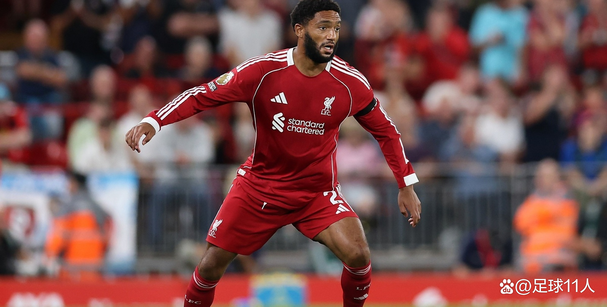 开云体育登录-利物浦碾压波兰，戈麦斯统治全场