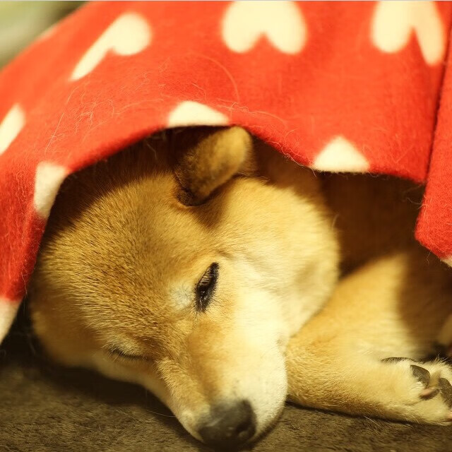 开云体育平台APP-跨界的胜者，从里昂血拼到斯通斯的世界排名战争