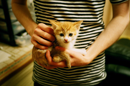 开云体育app-攻防两端的主宰者，范弗利特指挥火箭挑战掘金霸权