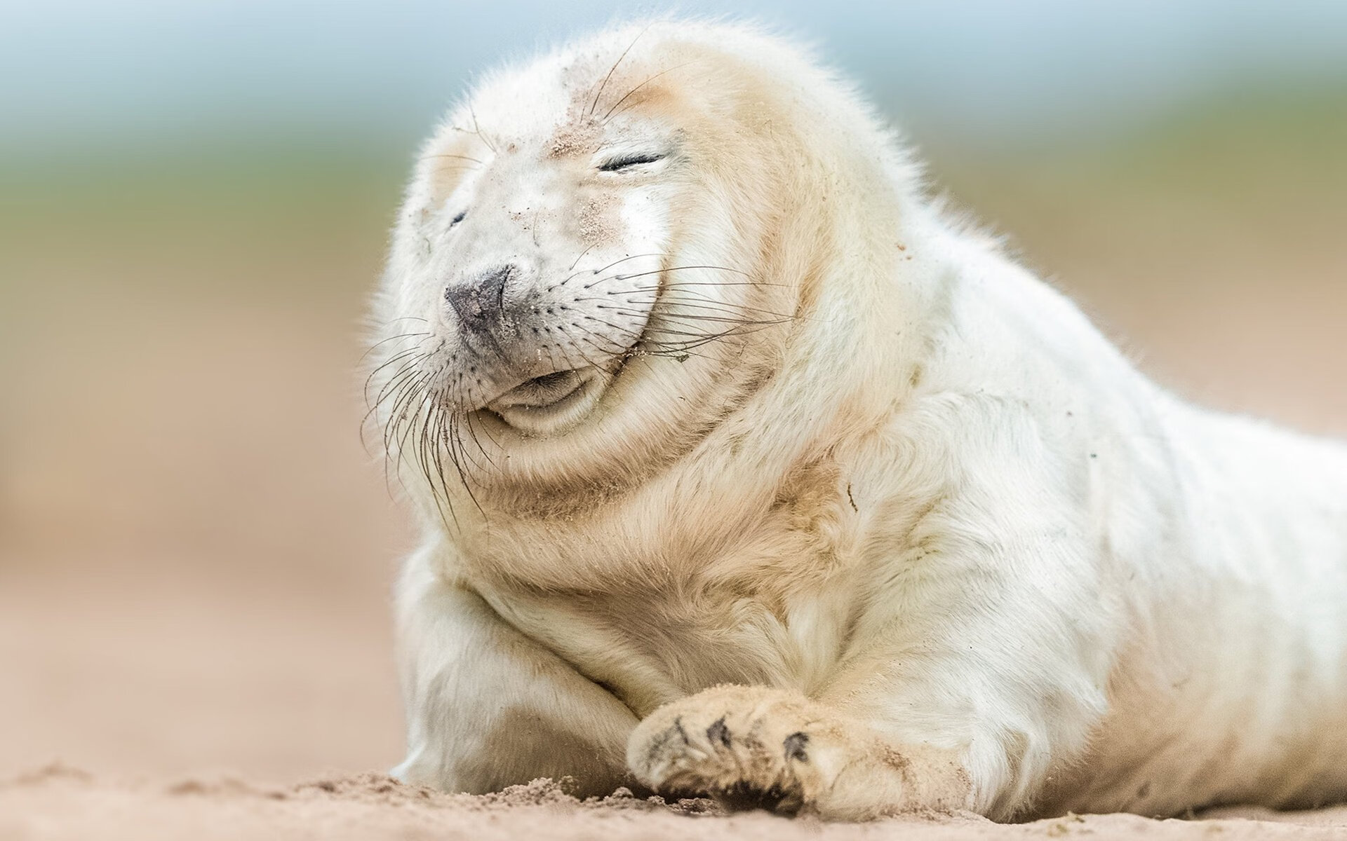 开云体育中国-绿茵之上的交响诗人，当奥纳纳在2026世界杯之夜改写门将法典