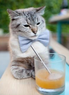 开云体育入口-双城记，麦迪逊的铜墙与伊斯坦布尔的焰火