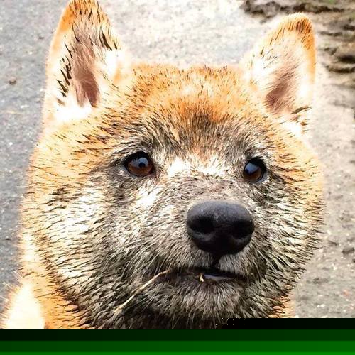 开云体育登录-巨轮沉没之夜，无名中锋42+21撕碎湖人，新王当立？