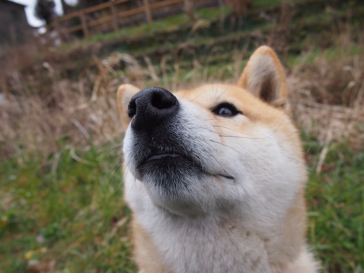 开云体育在线-落基山的尖镐，如何凿穿金州的甲？哈登于无声处听惊雷