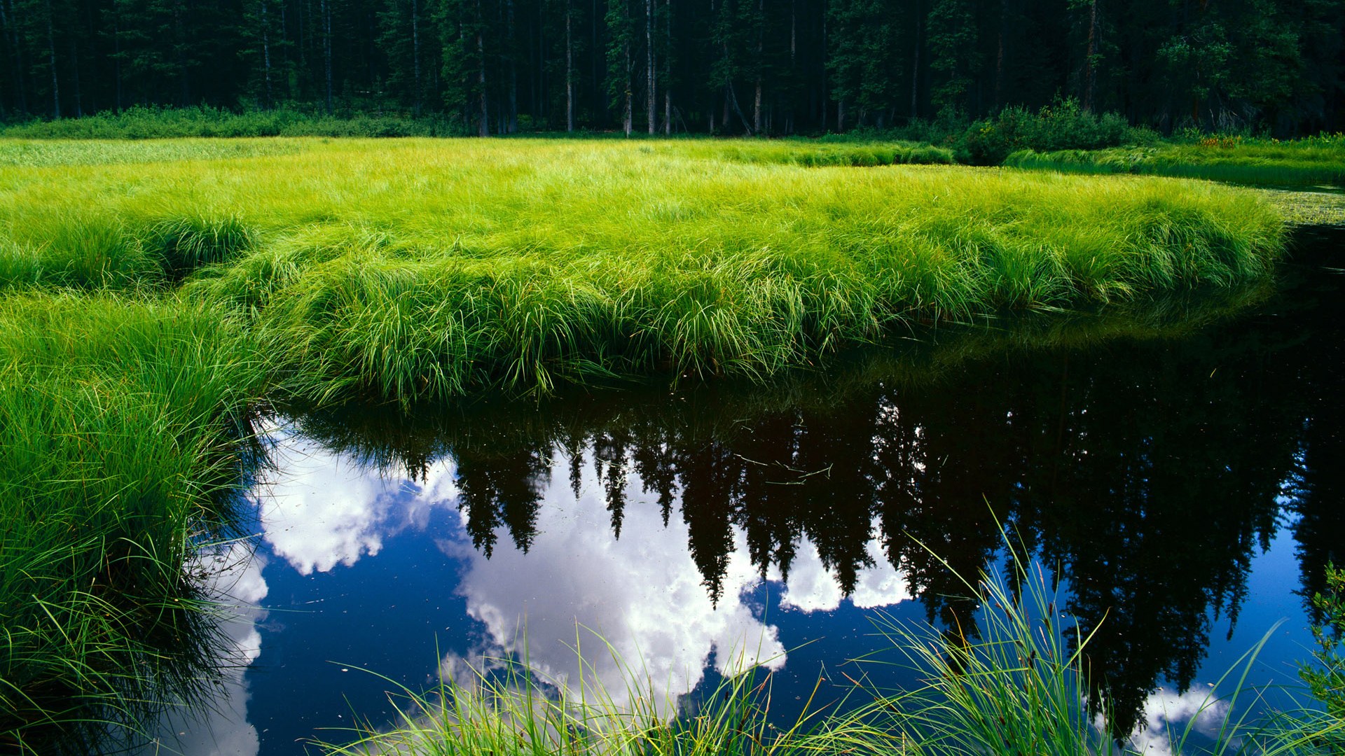 开云sport-铁血广厦粉碎独行侠神话，末节死神詹姆斯定江山