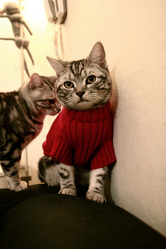 从僵局到屠杀，穆勒觉醒，卡塔尔十分钟风暴席卷加拿大