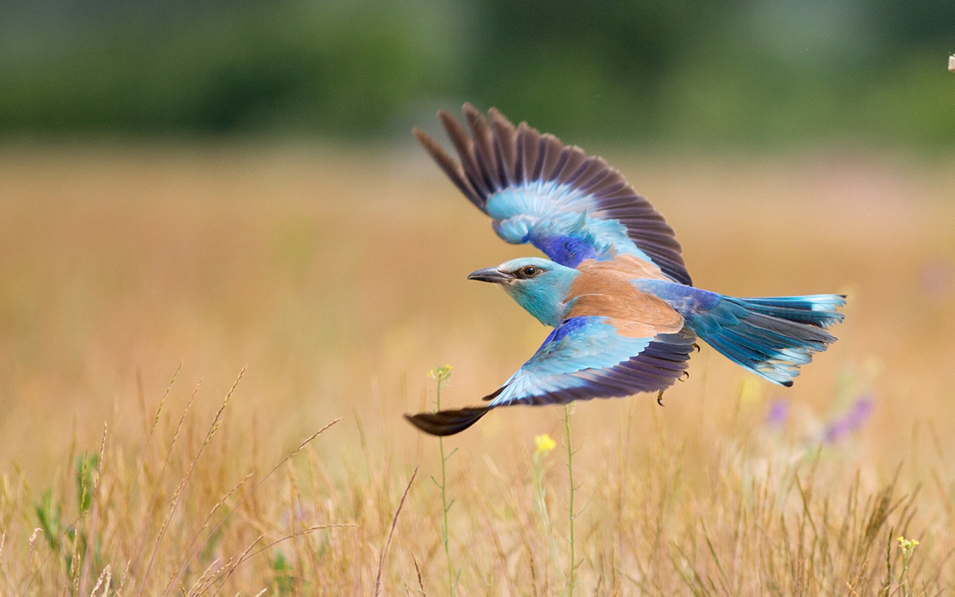 开云体育-跨界镜像，当东决战鼓为拉什福德而鸣