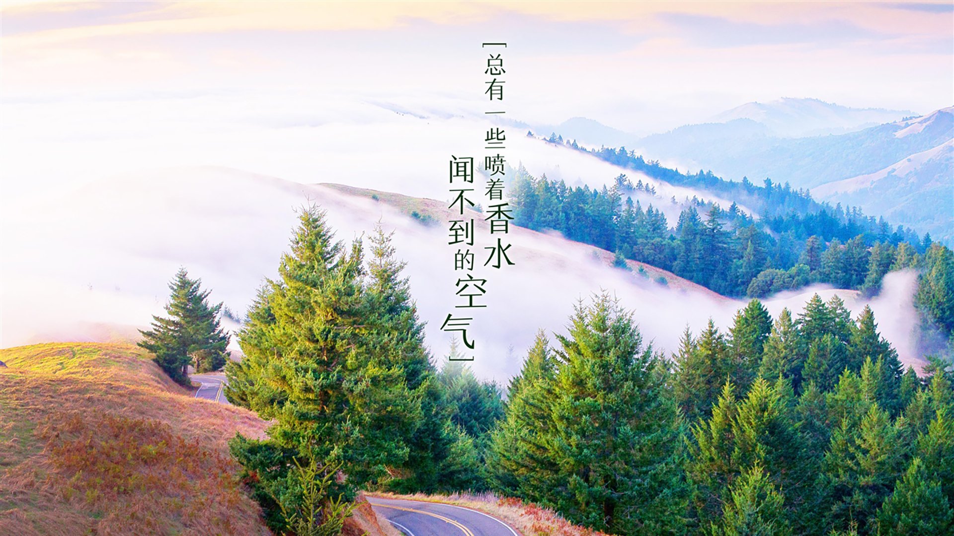 最冷门的华丽,当南美铁骑与东亚风暴席卷A组,智利如何用三笘薰战术碾压伊朗
