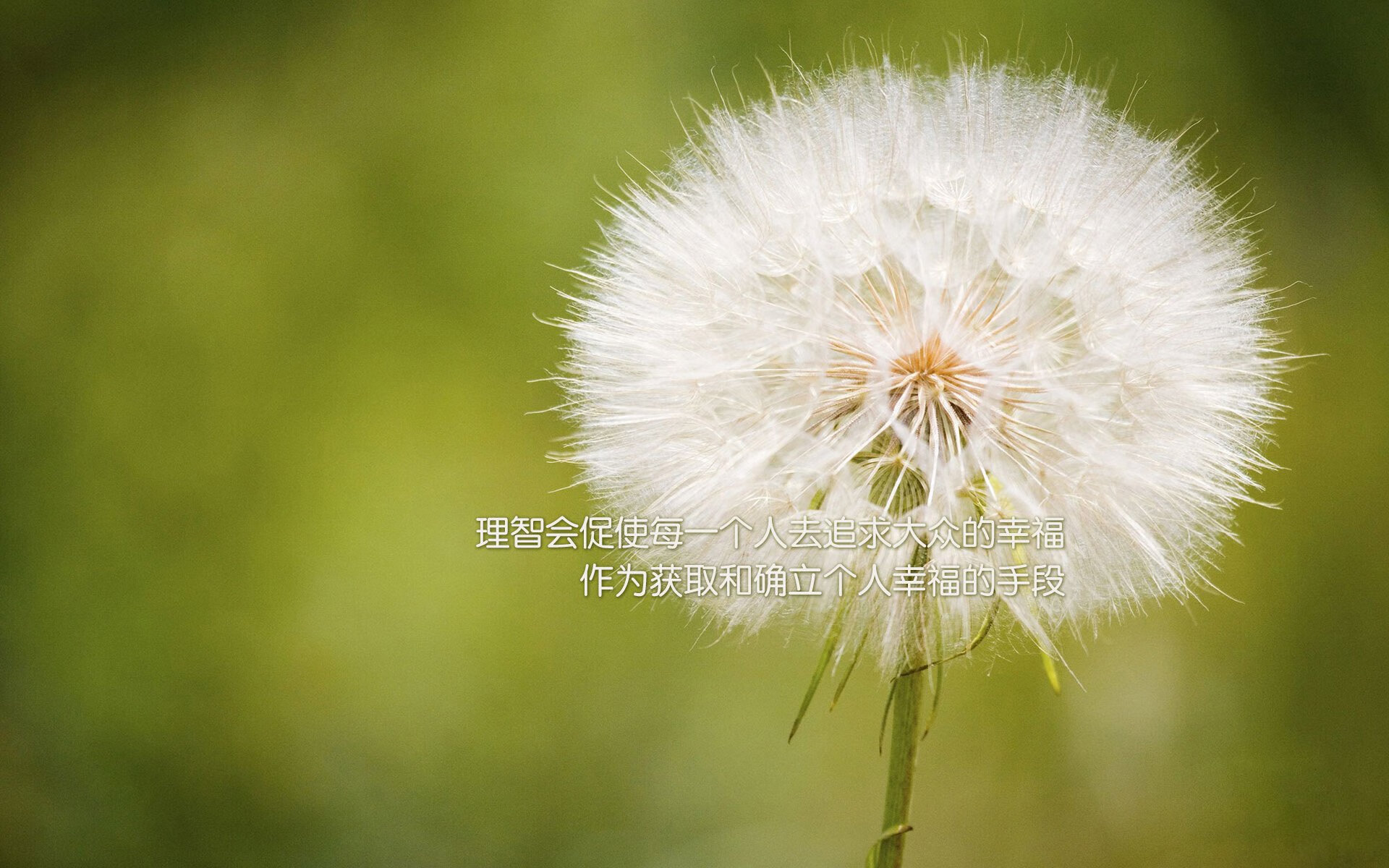 冰与火的救赎，唯一界碑上的那一脚—2026世界杯G组关键战，布罗佐维奇绝杀挪威的宿命时刻